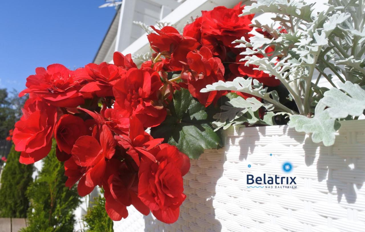 Belatrix Nad Bałtykiem Apartament Mielno (Koszalin)